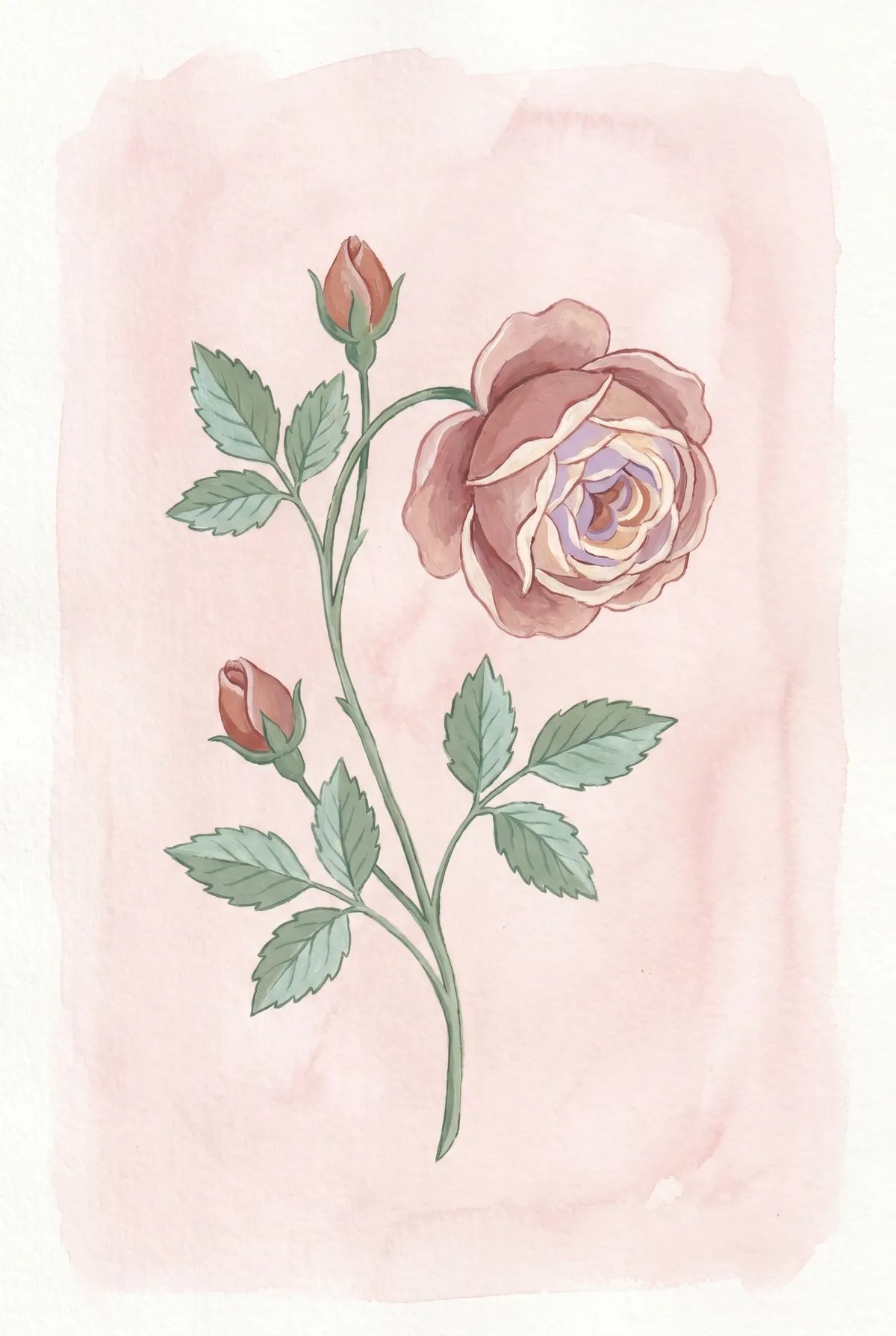 Vintage Rose Print