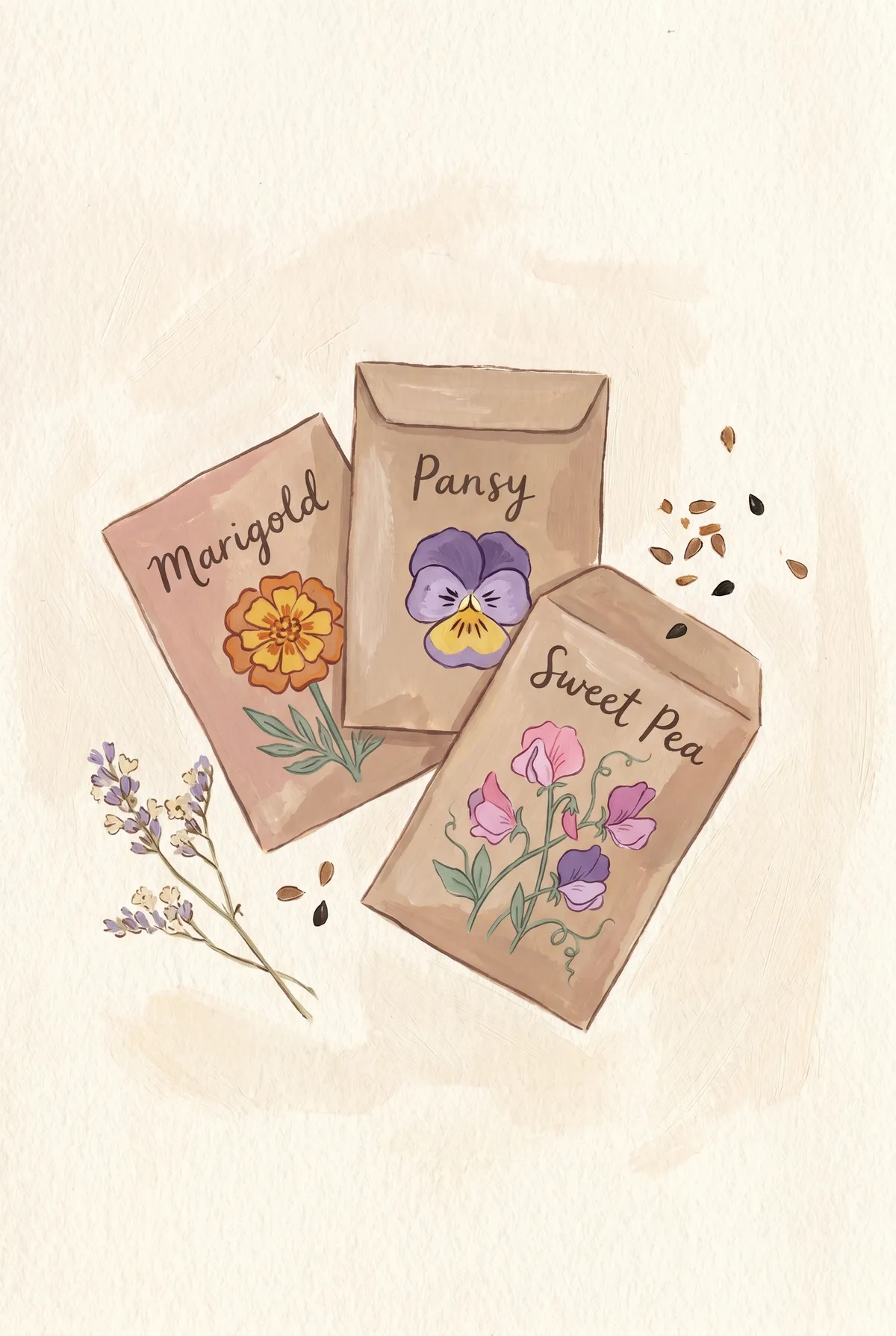 Flower Seed Packets Print