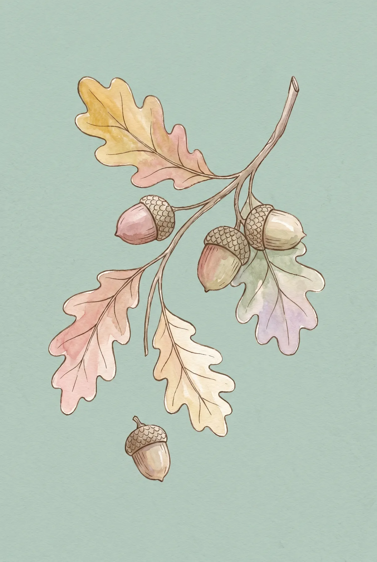 Watercolor Oak Branch & Acorns Print