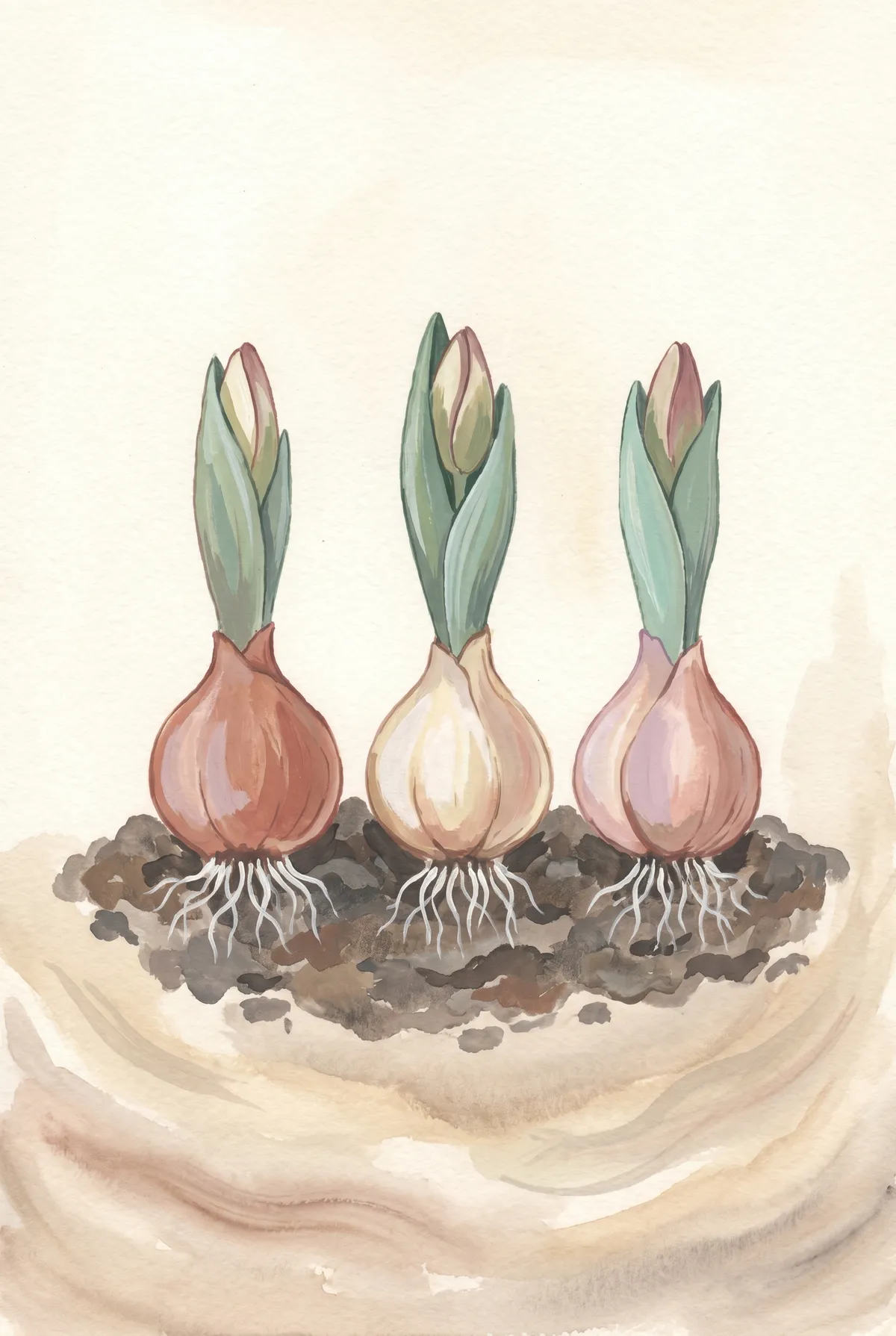 Spring Bulbs Watercolor Print