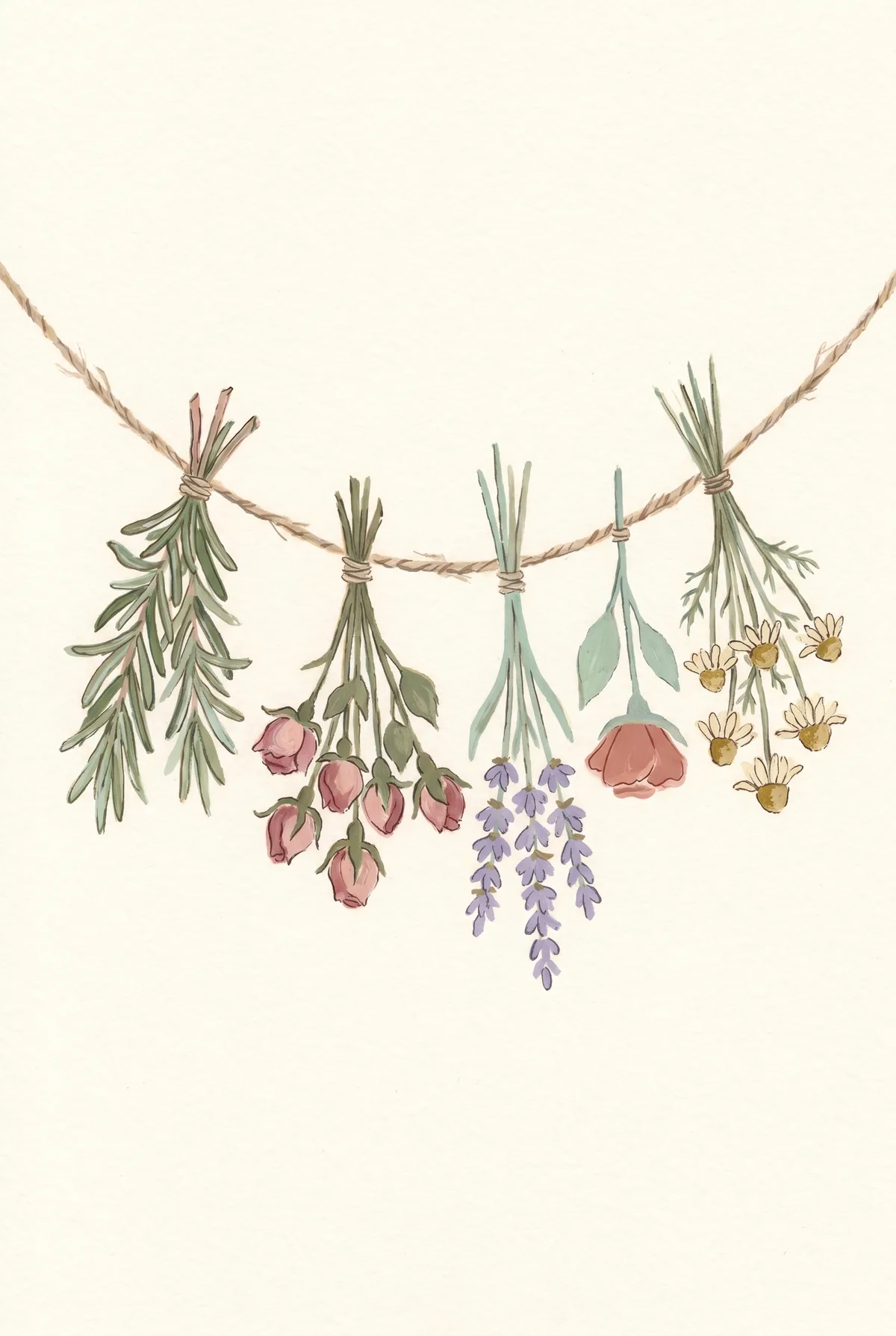 Dried Herb Garland Print