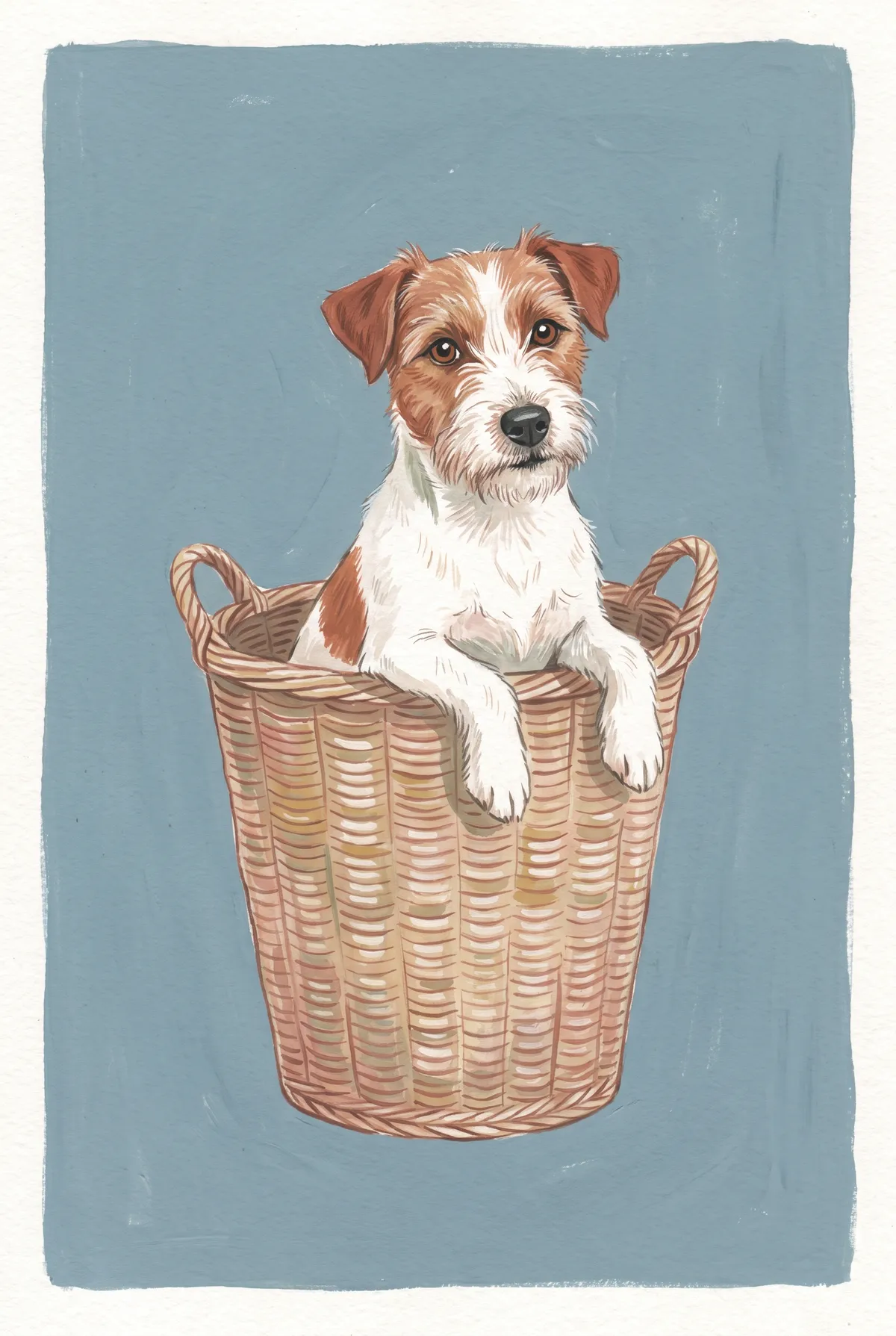 Jack Russell Terrier in Basket Print