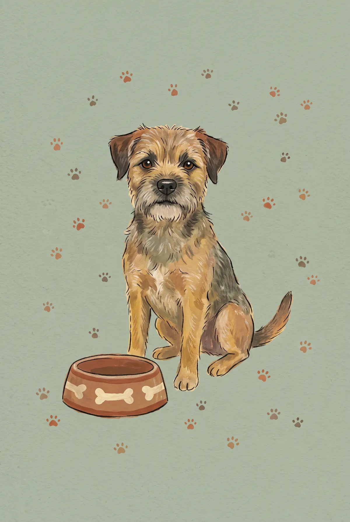Border Terrier Print