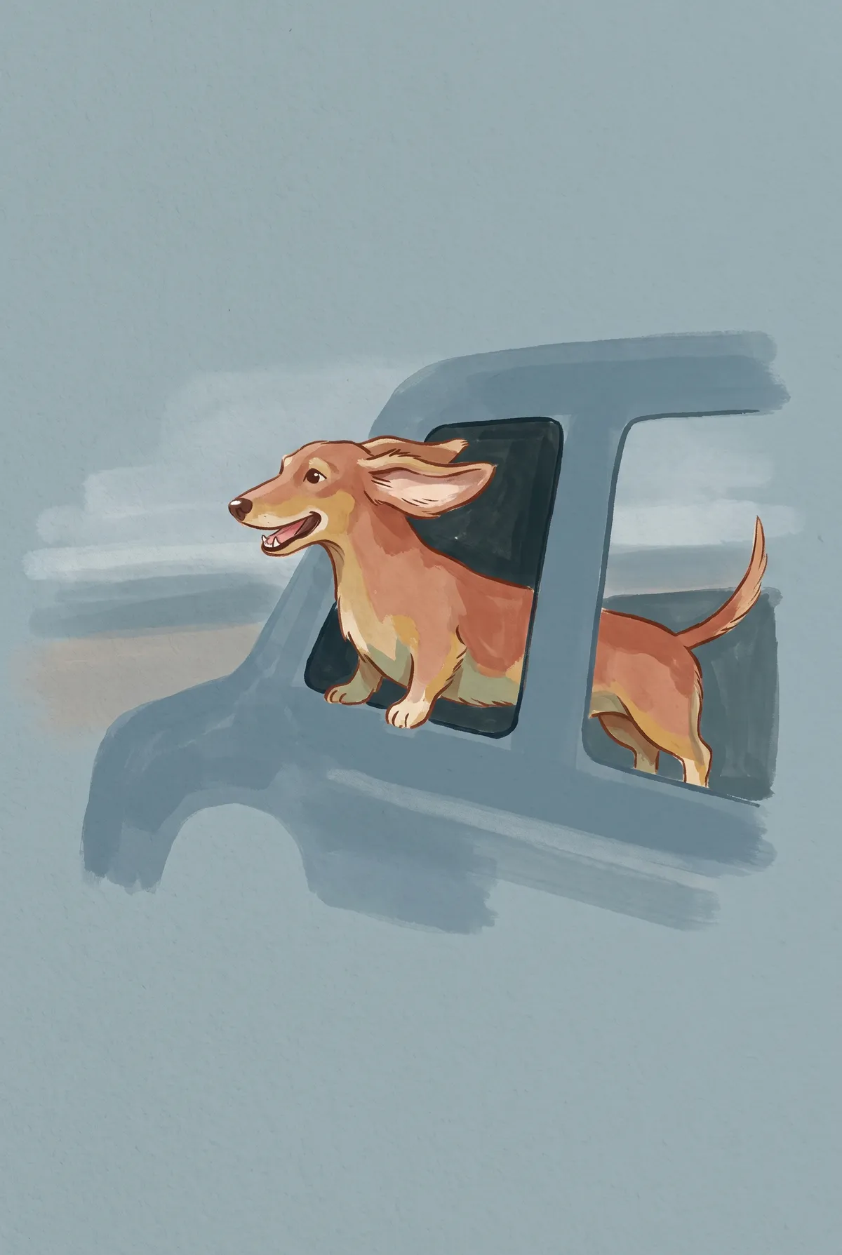 Dachshund in Truck Window Print